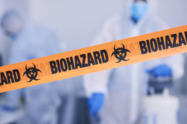 Professional Hoarding Cleanup technician working in Newcastle, CA